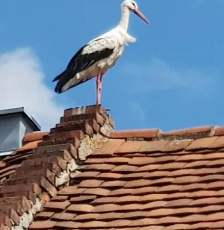 Apartman Hossies Hof - Elke