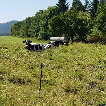 Hossies Hof - Elke * Bertsdorf