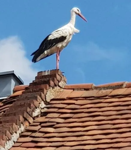 Апартаменты Hossies Hof - Elke