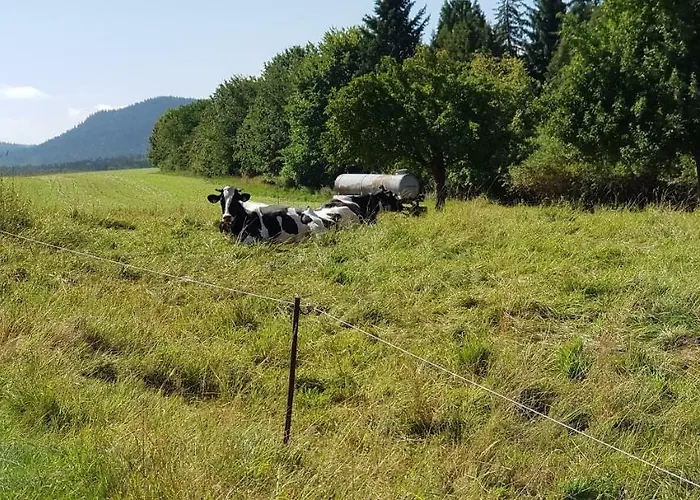 Hossies Hof - Elke * Бертсдорф